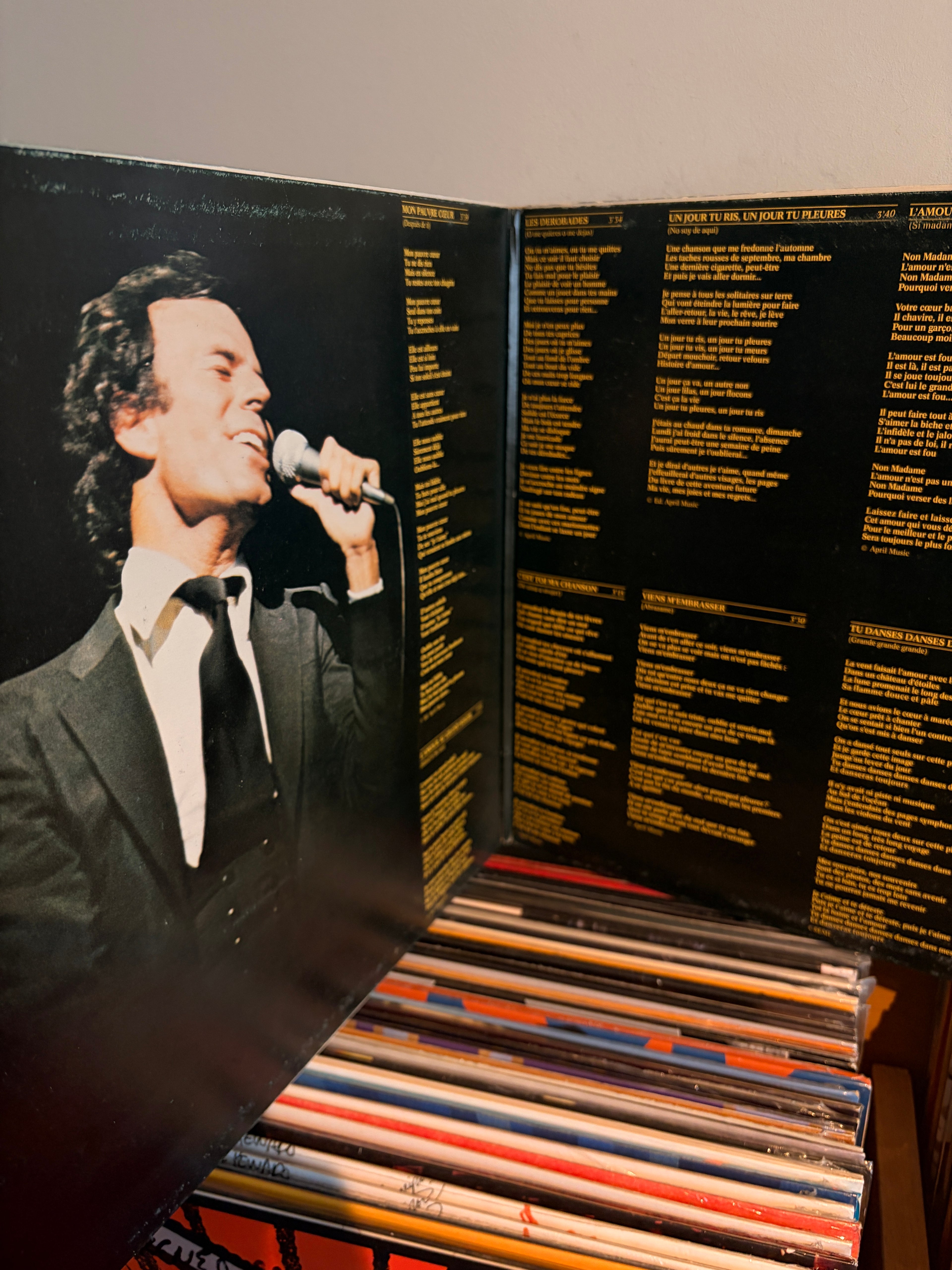 JULIO IGLESIAS Canta en frances Fidèle