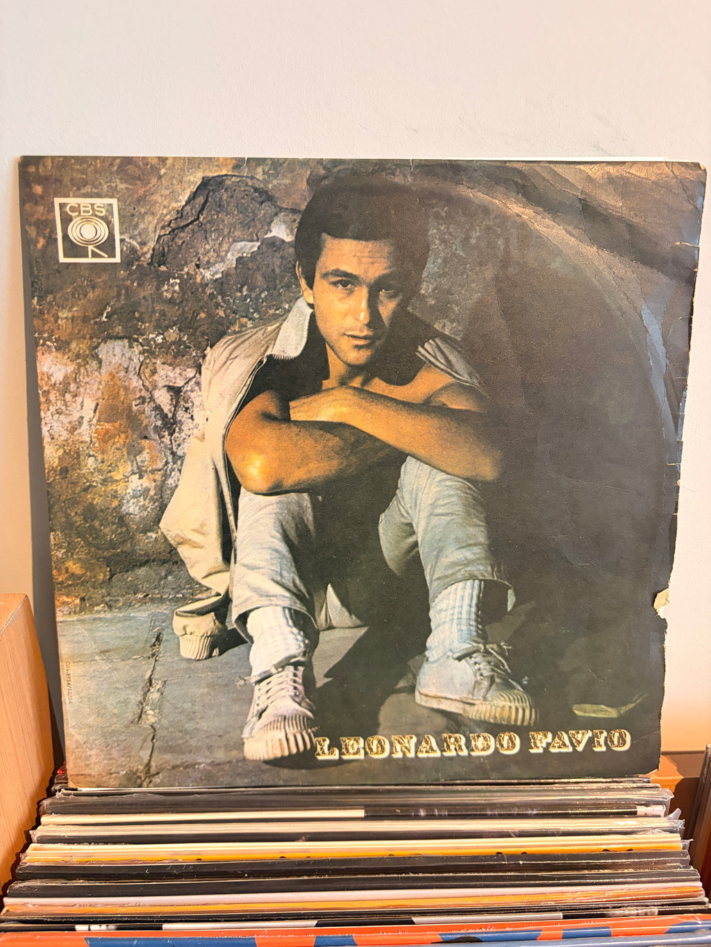LEONARDO FAVIO