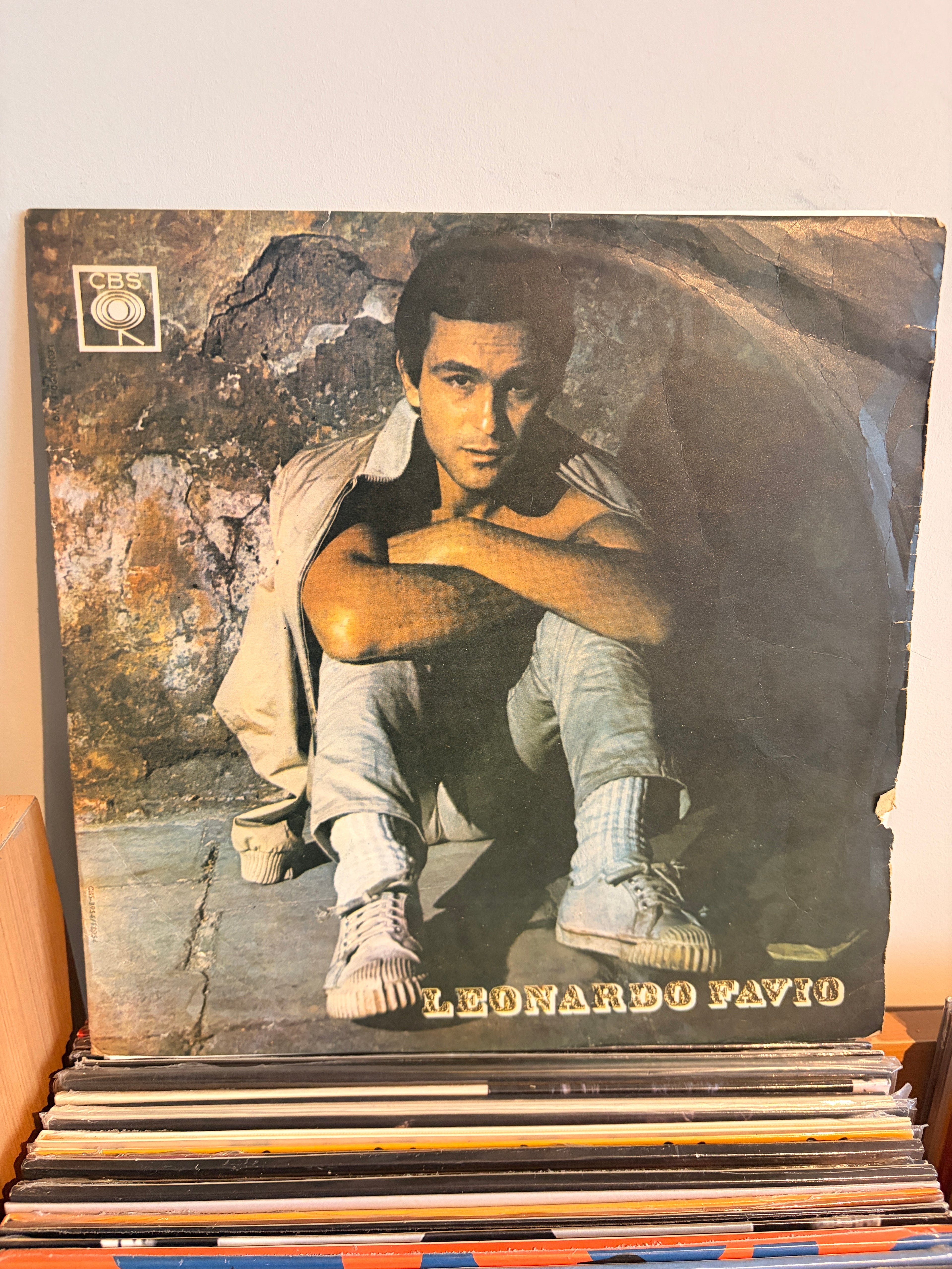 LEONARDO FAVIO