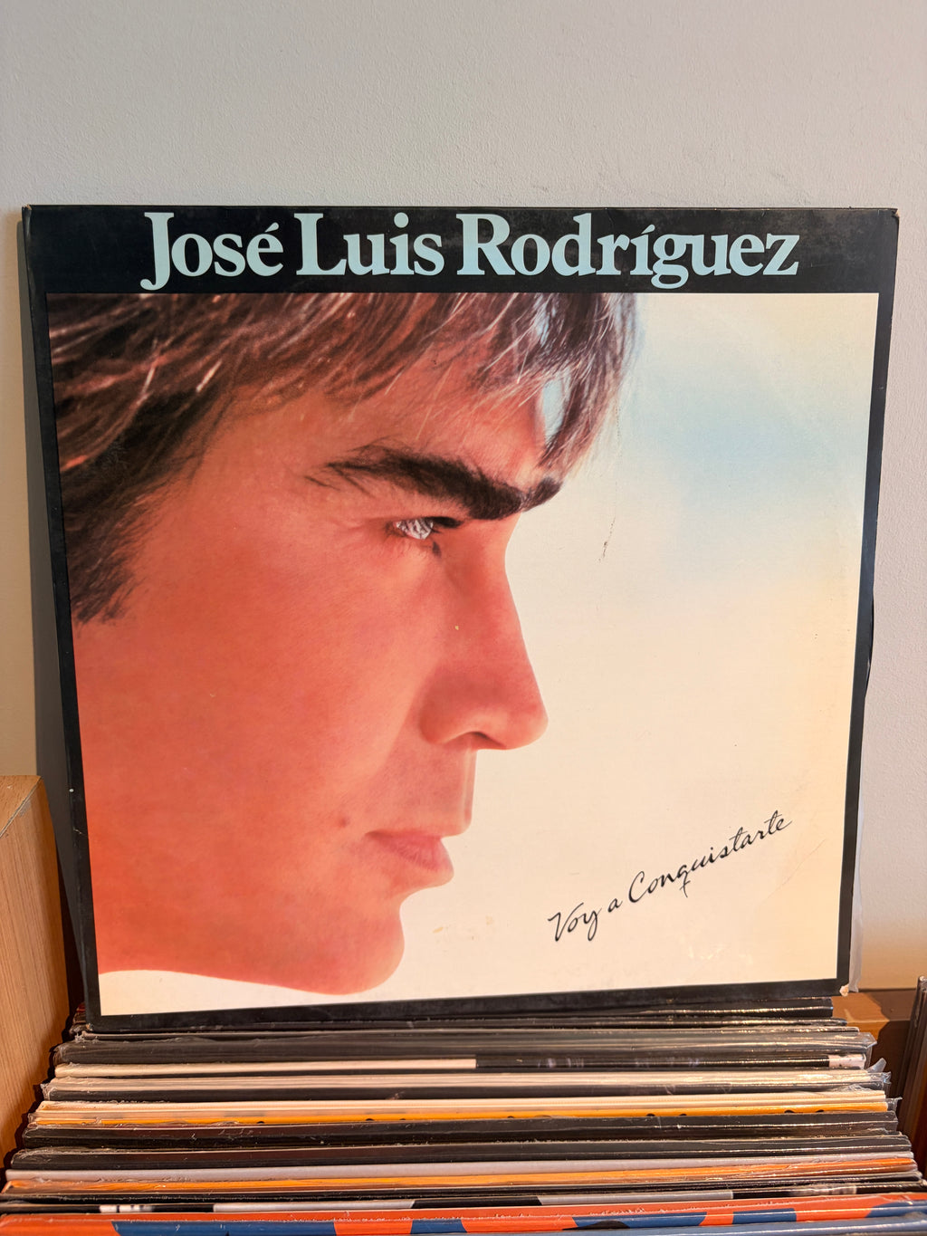 JOSE LUIS RODRIGUEZ Voy a conquistarte