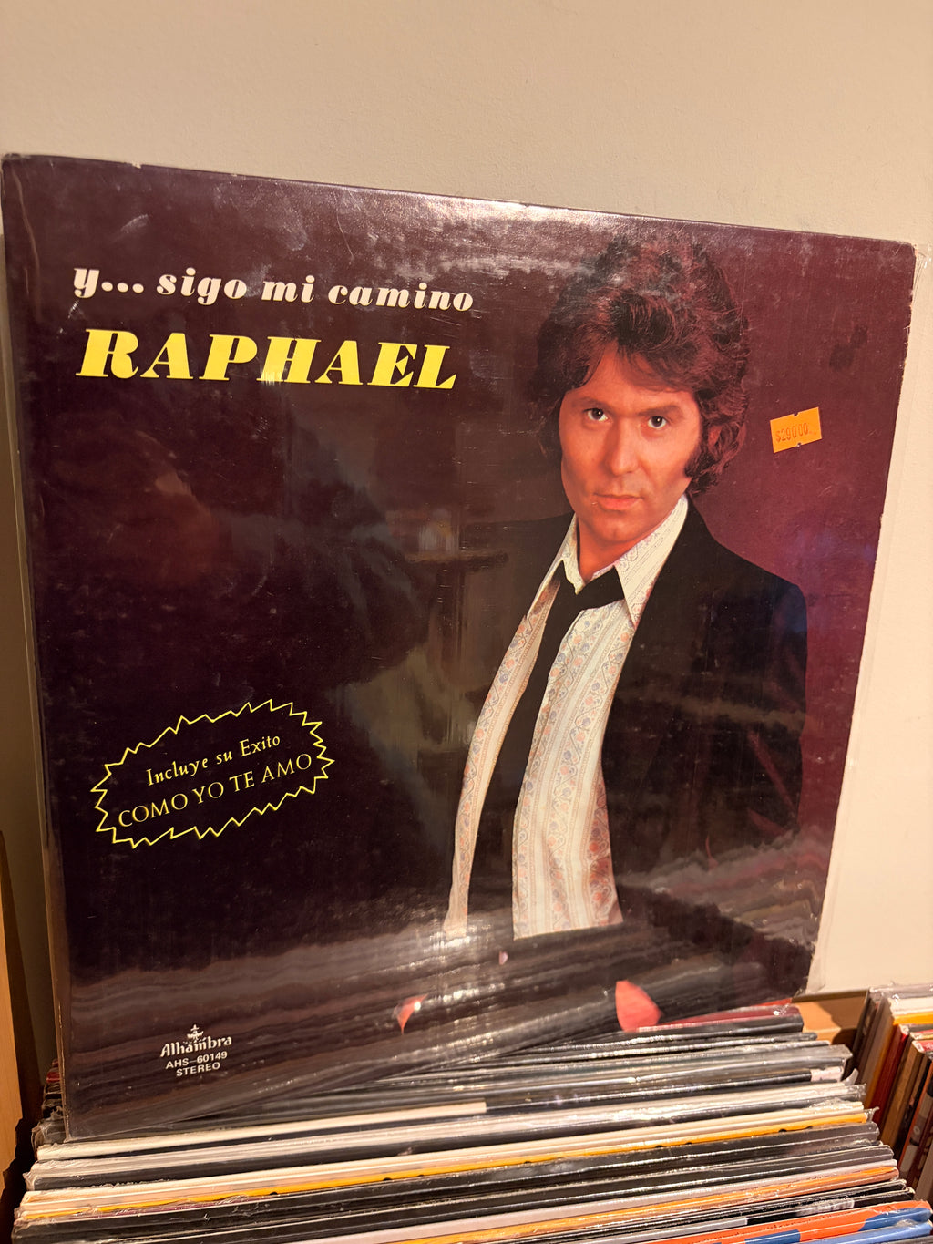 RAPHAEL Y... sigo mi camino