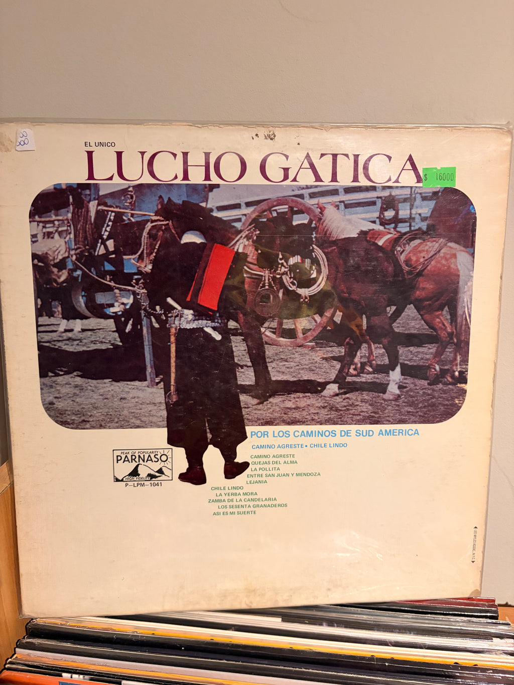 LUCHO GATICA Por los caminos de sud america