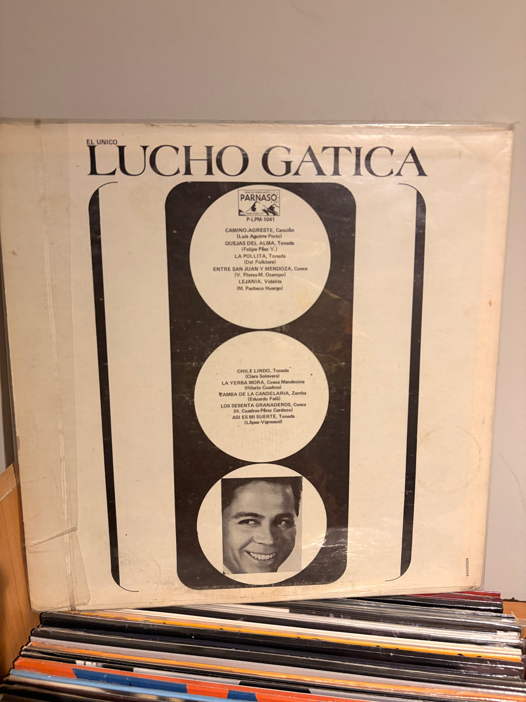 LUCHO GATICA Por los caminos de sud america