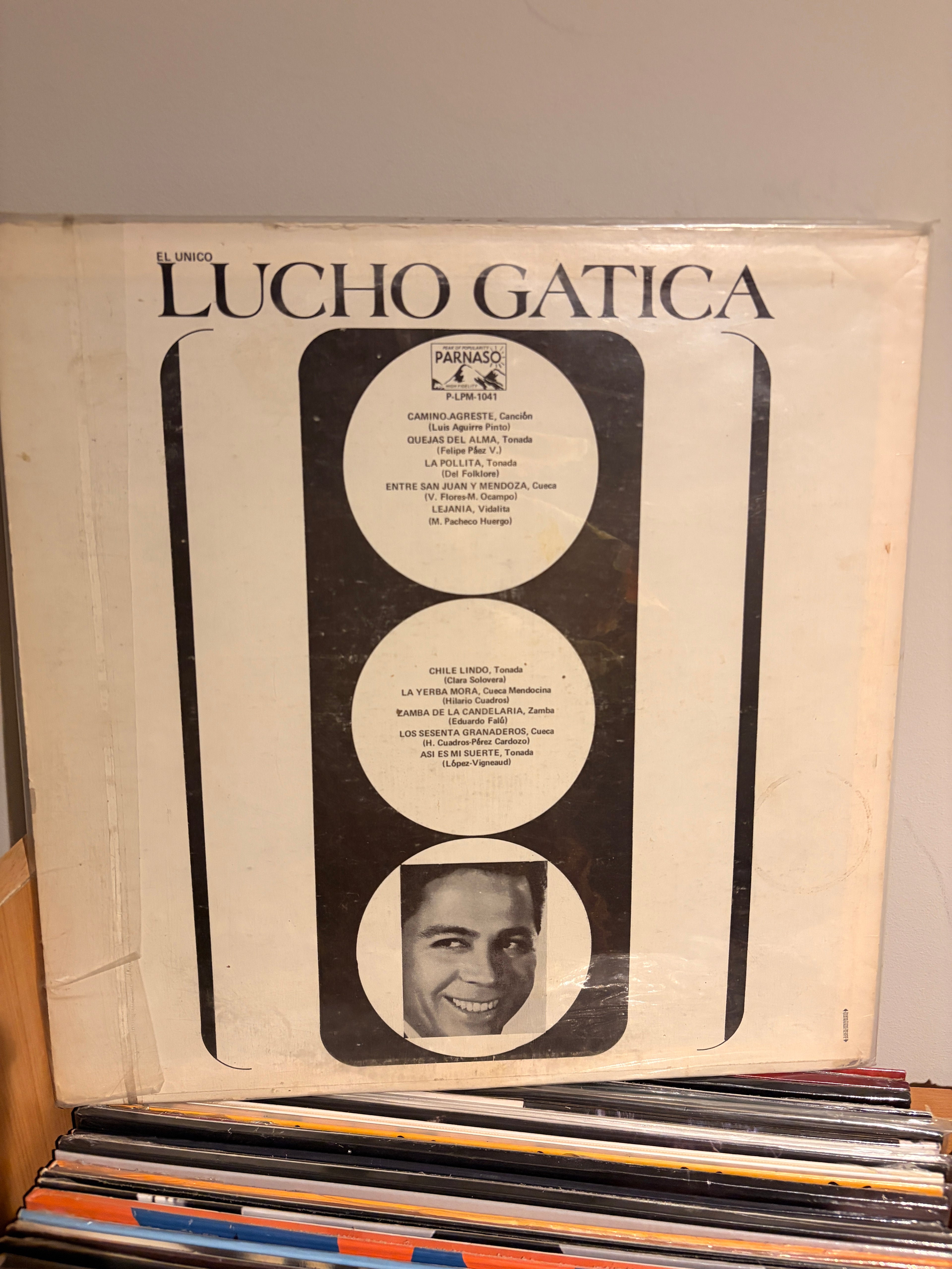 LUCHO GATICA Por los caminos de sud america