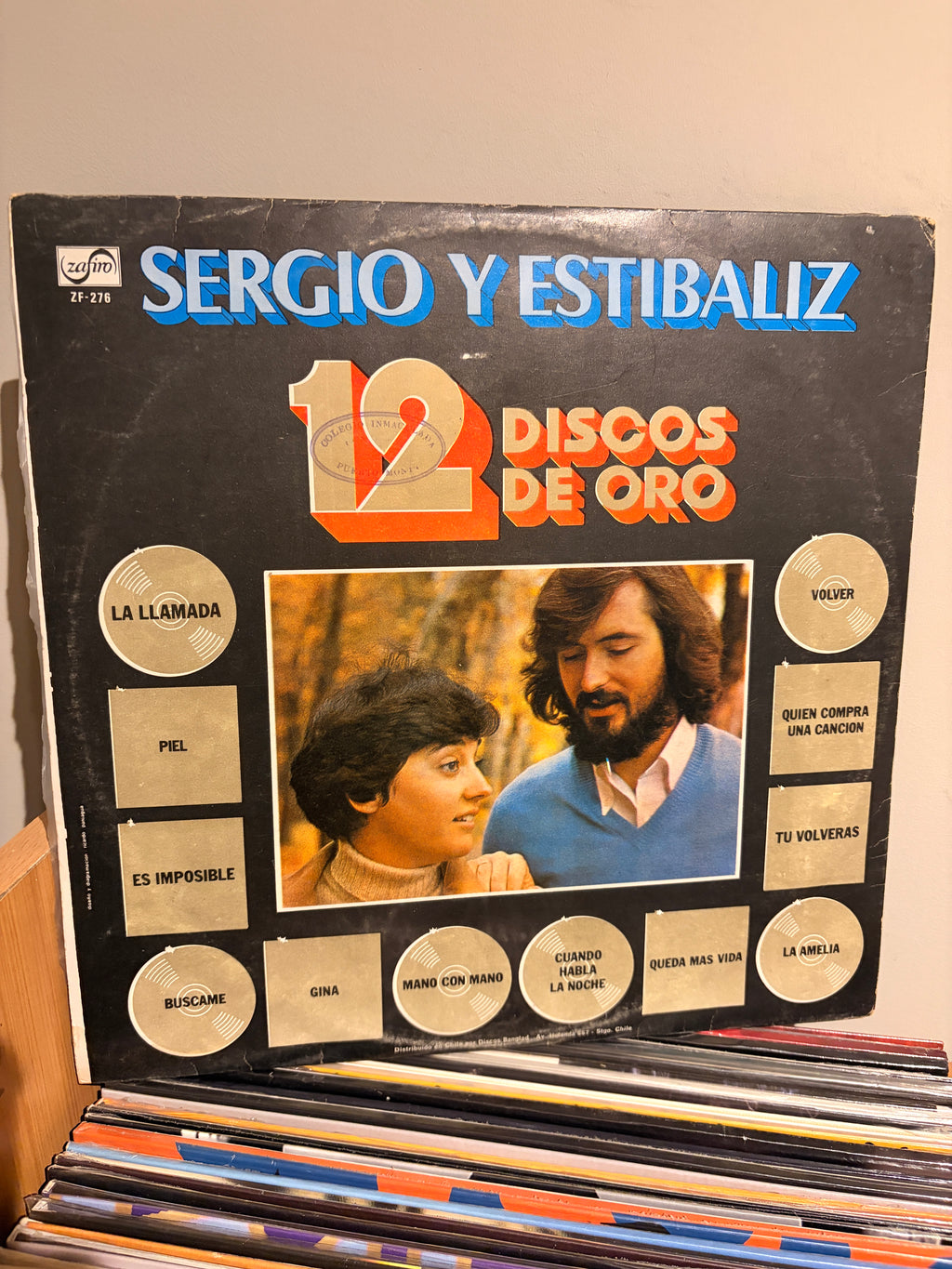 SERGIO Y ESTIBALIZ 12 Discos de oro