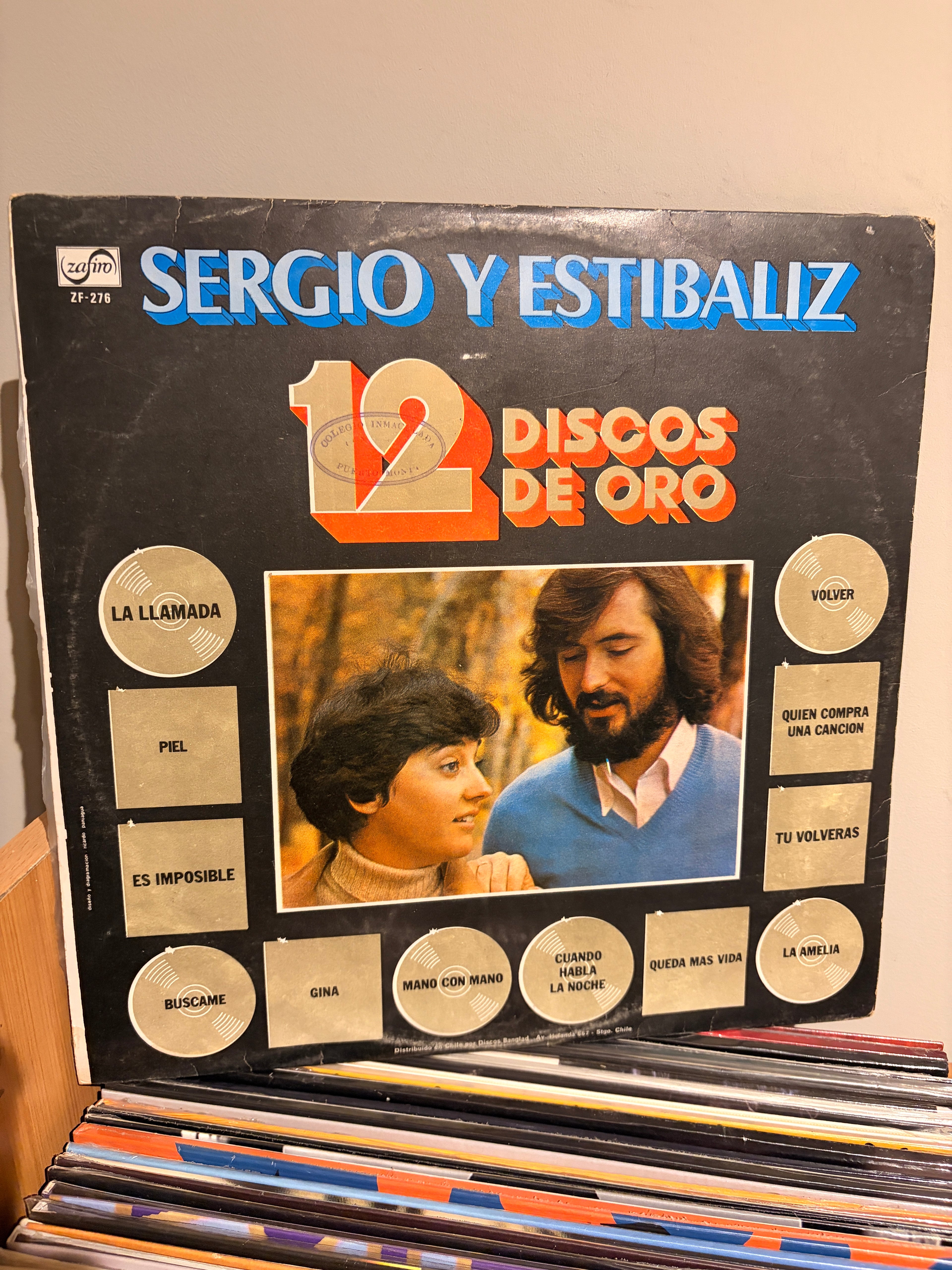 SERGIO Y ESTIBALIZ 12 Discos de oro