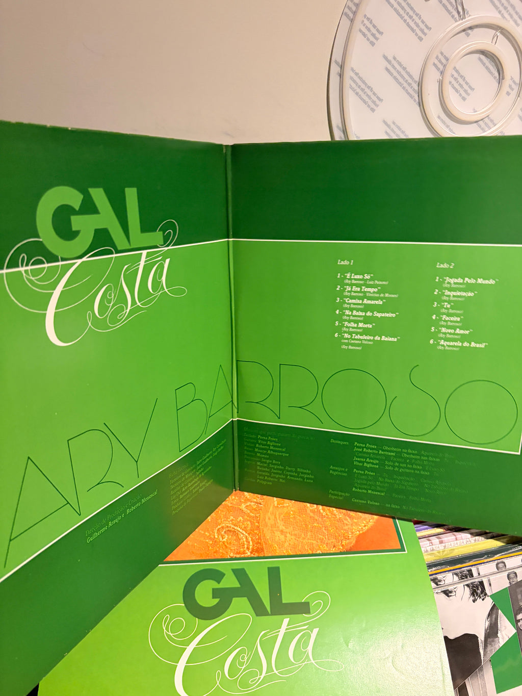GAL COSTA Aquarela do Brasil