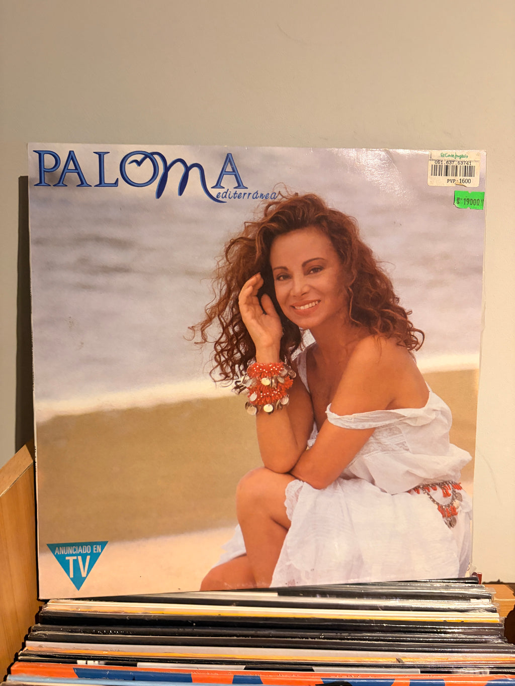 PALOMA SAN BASILIO Paloma mediterranea