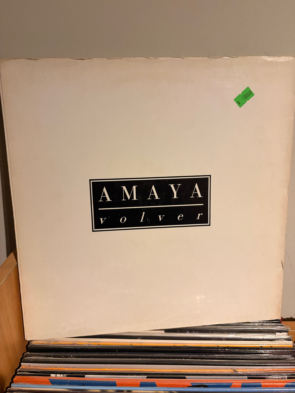 AMAYA Volver
