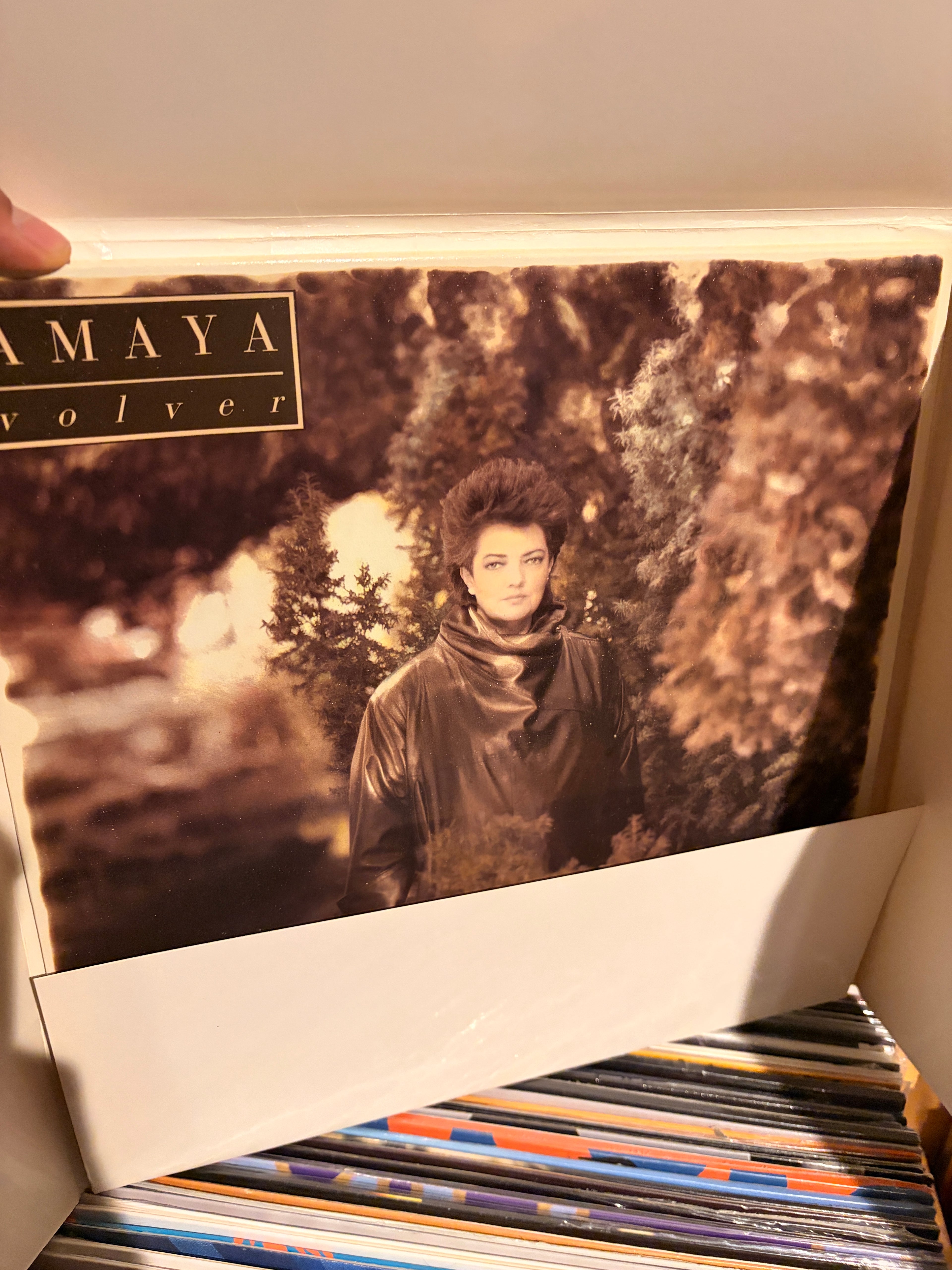 AMAYA Volver