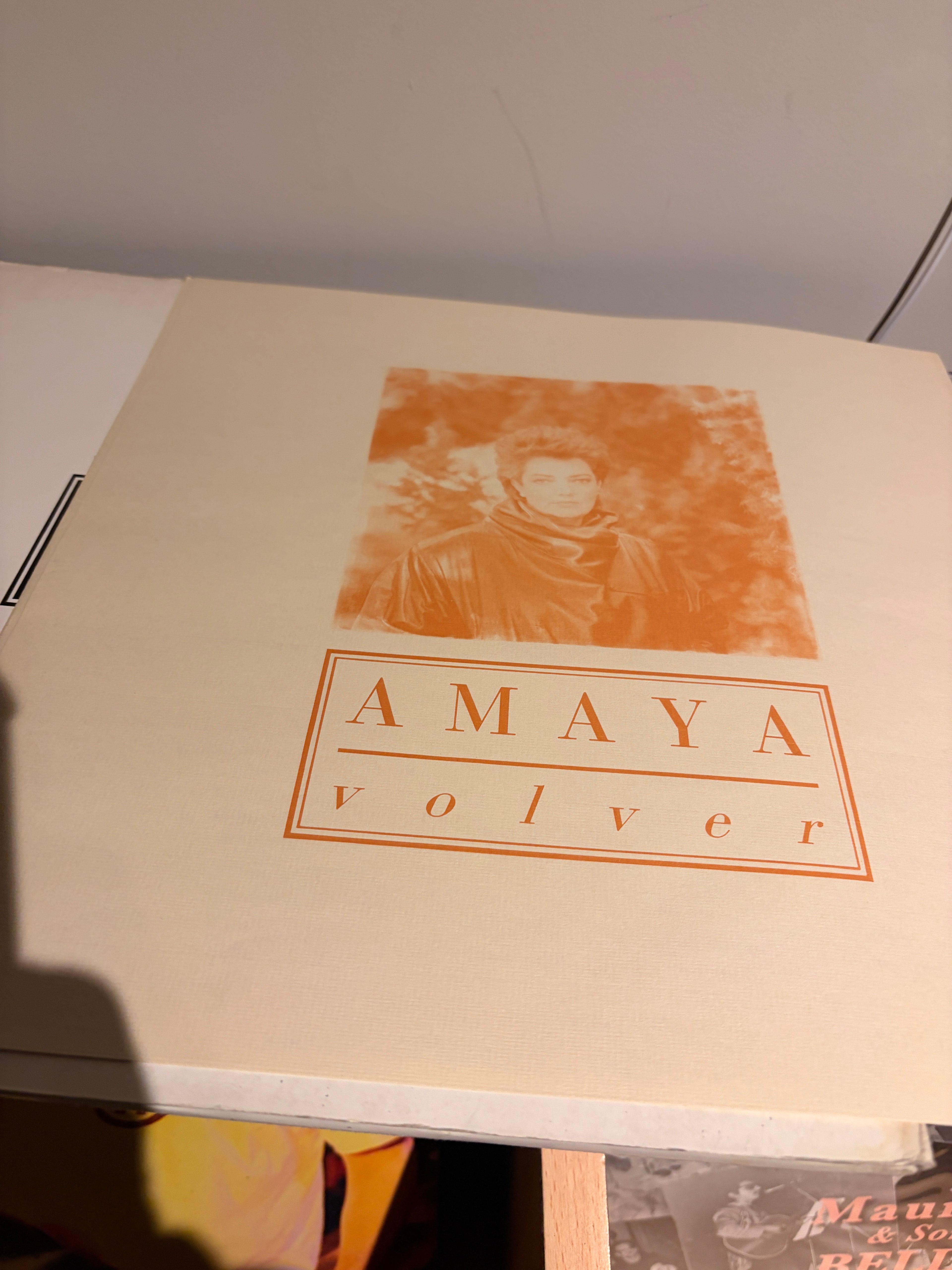 AMAYA Volver