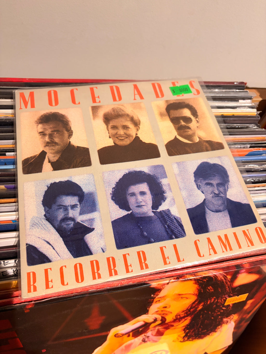 MOCEDADES Recorrer el camino / Ramas de sauce lloron