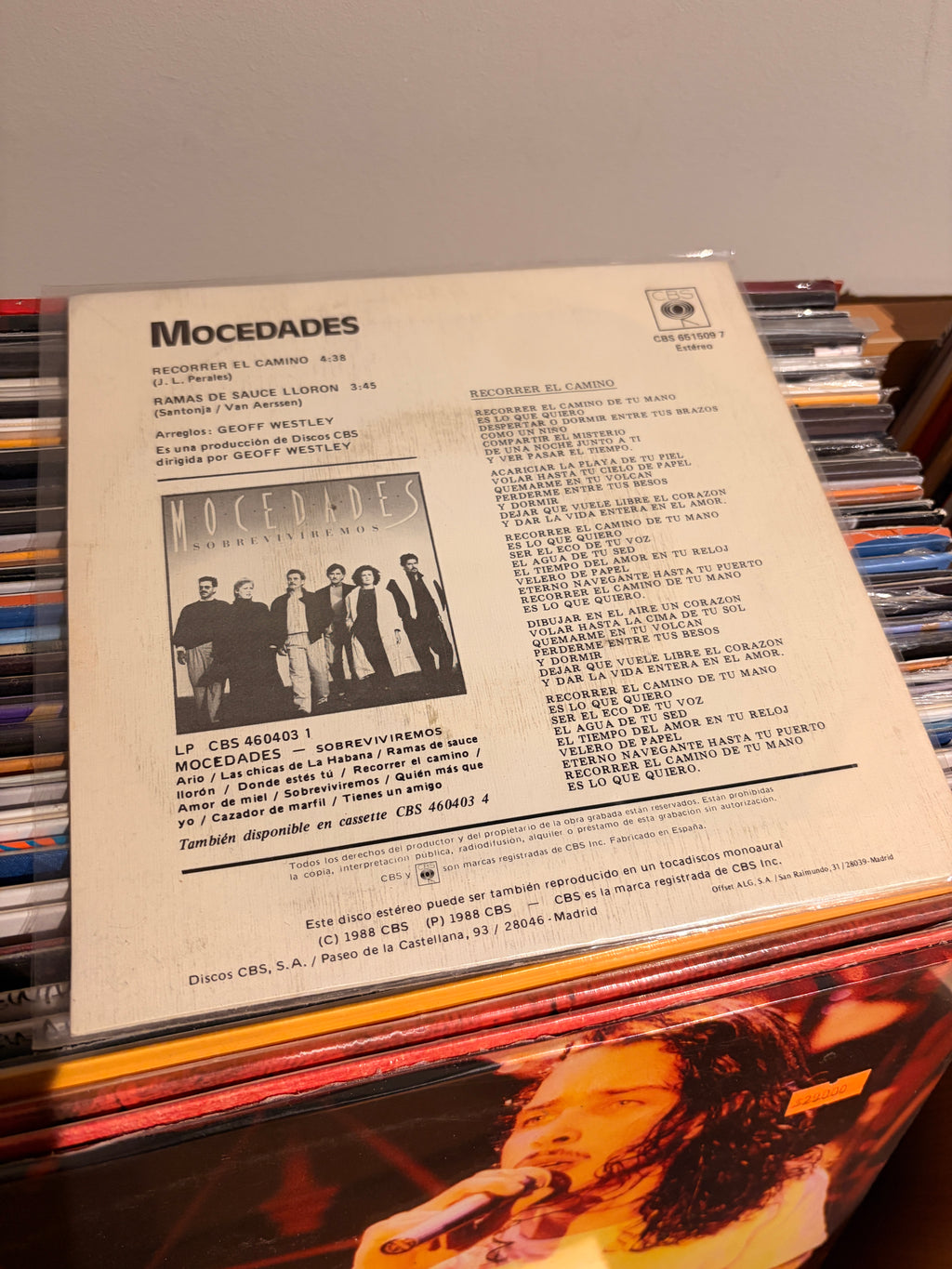 MOCEDADES Recorrer el camino / Ramas de sauce lloron
