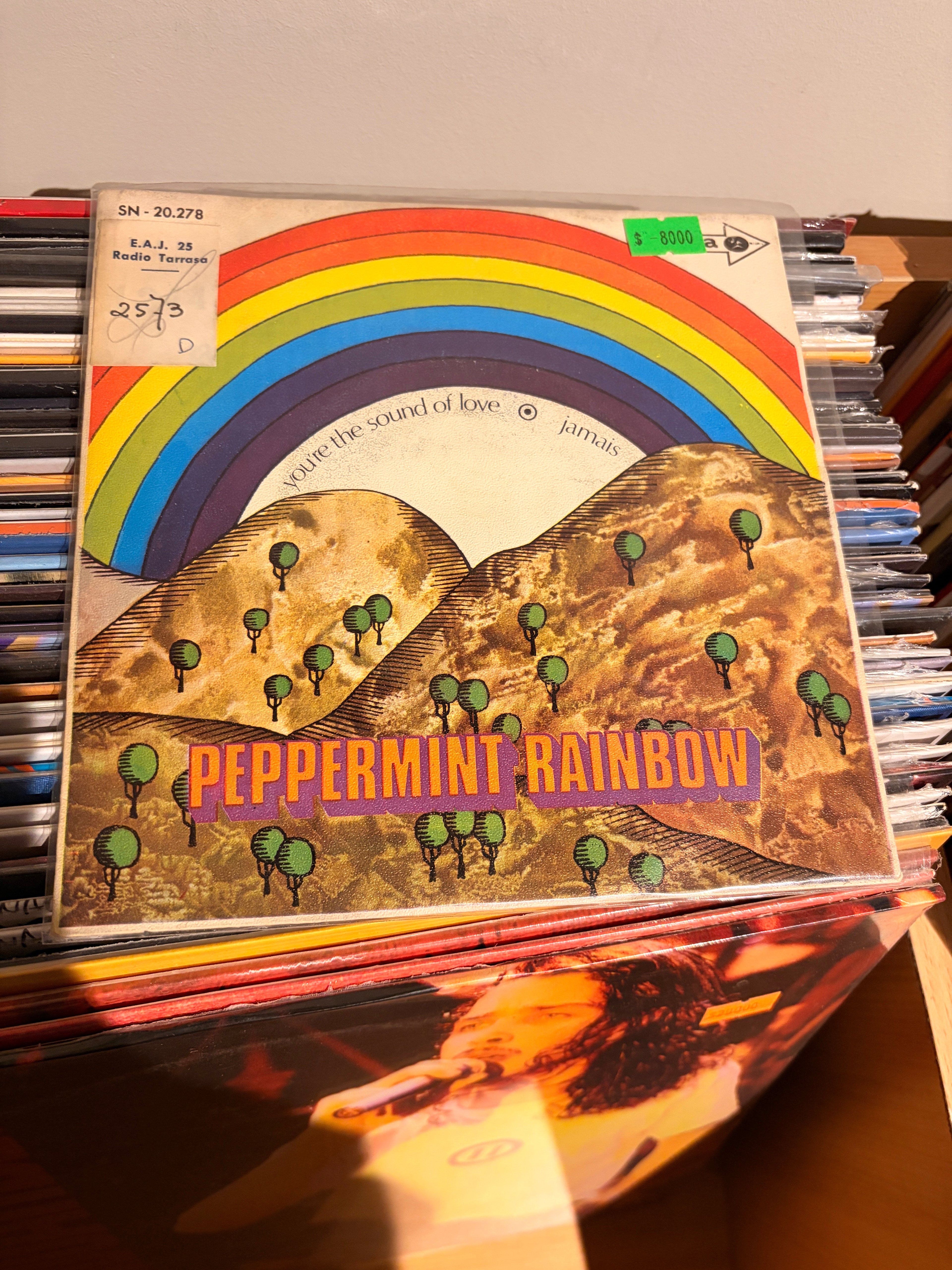 PEPPERMINT RAINBOW