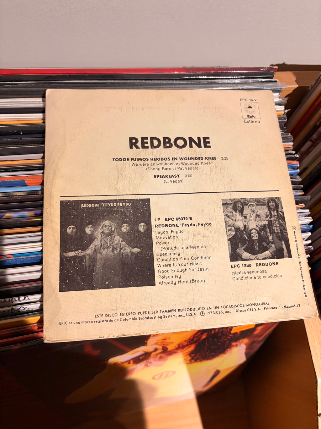 RED BONE Todos fuimos heridos en wounded knee