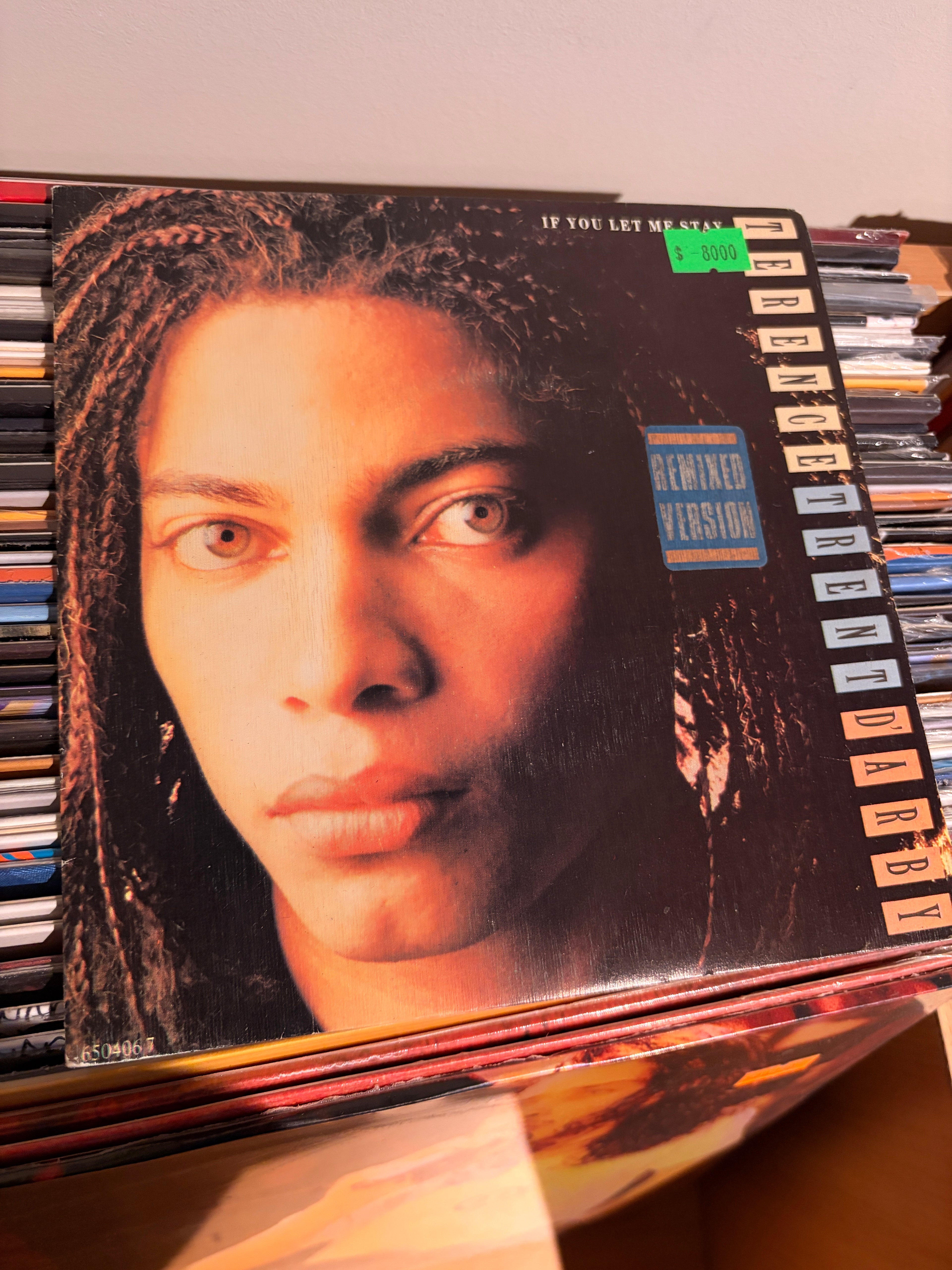 TERENCE TRENT DÀRBY If you let me stay