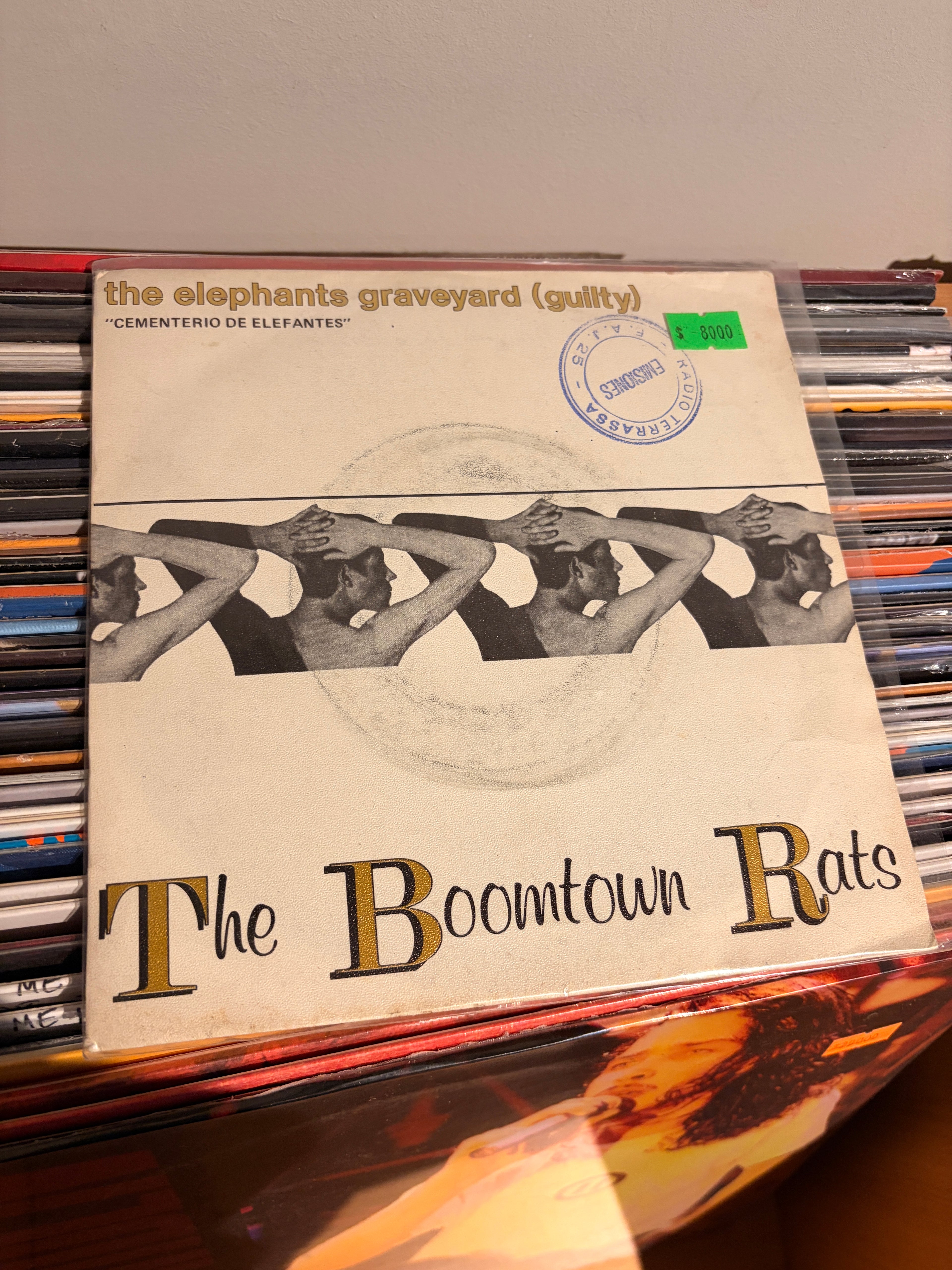 THE BOOTOWN RATS The elephants graveyard