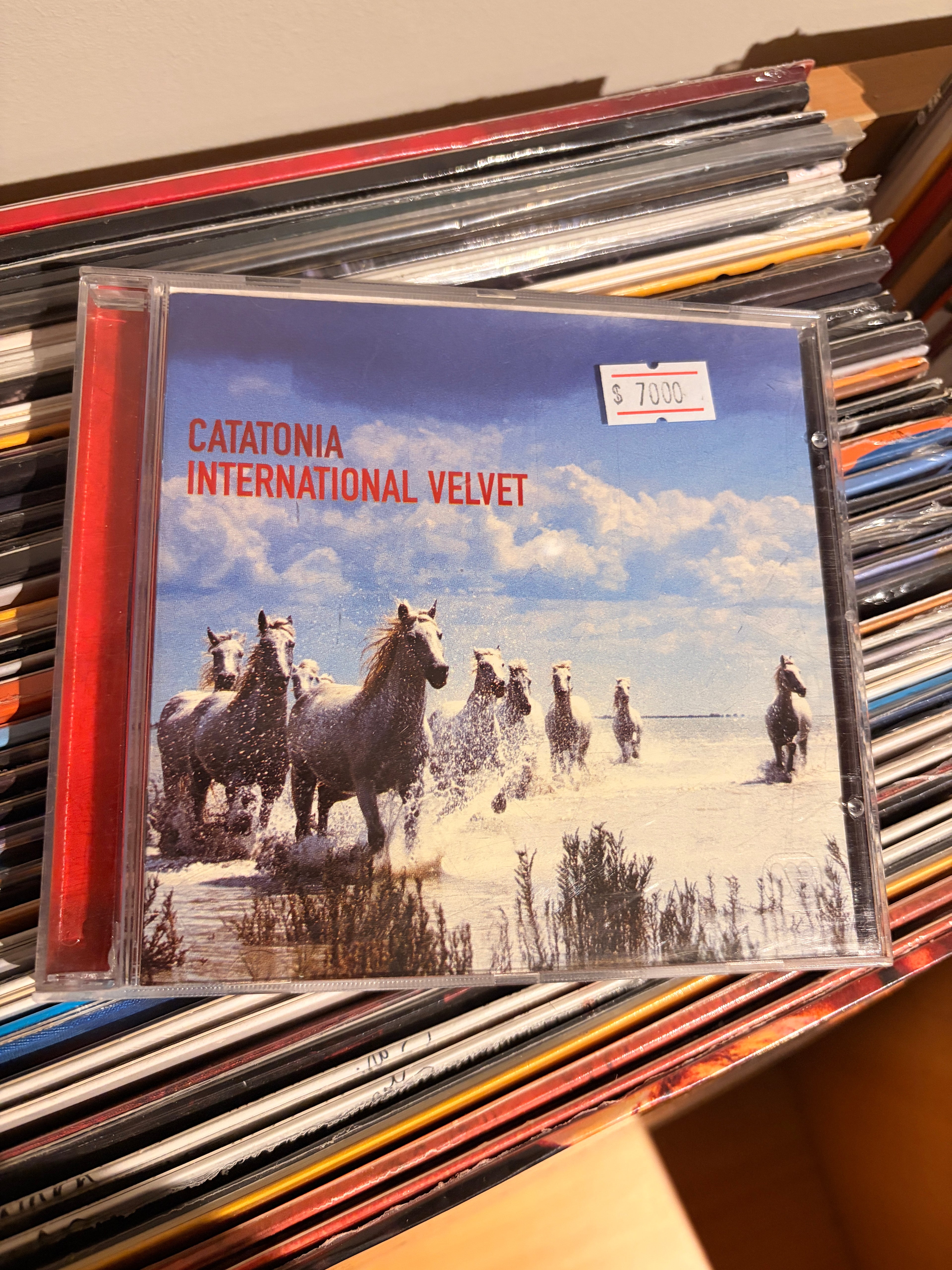 CATATONIA International velvet