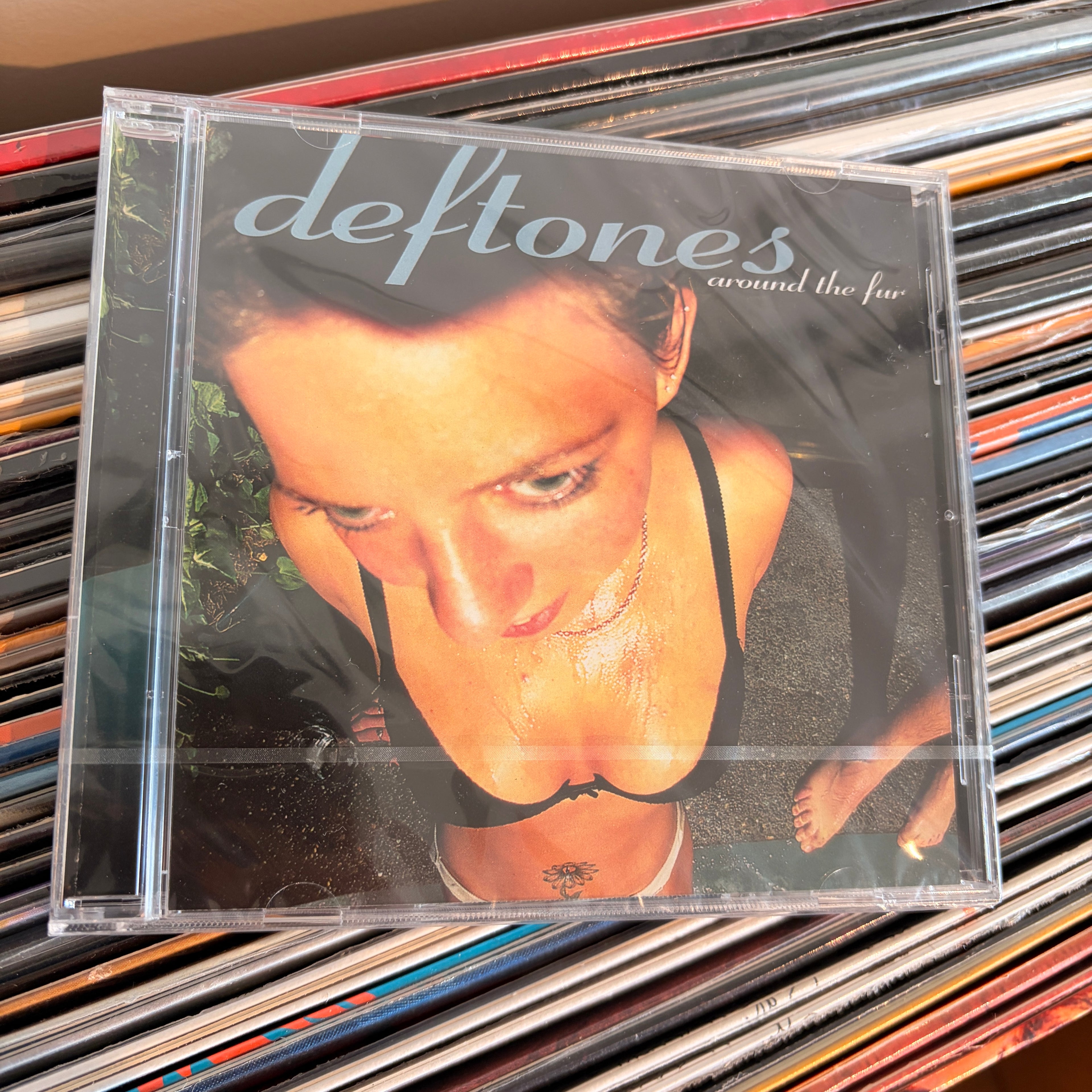 DEFTONES Around the fur