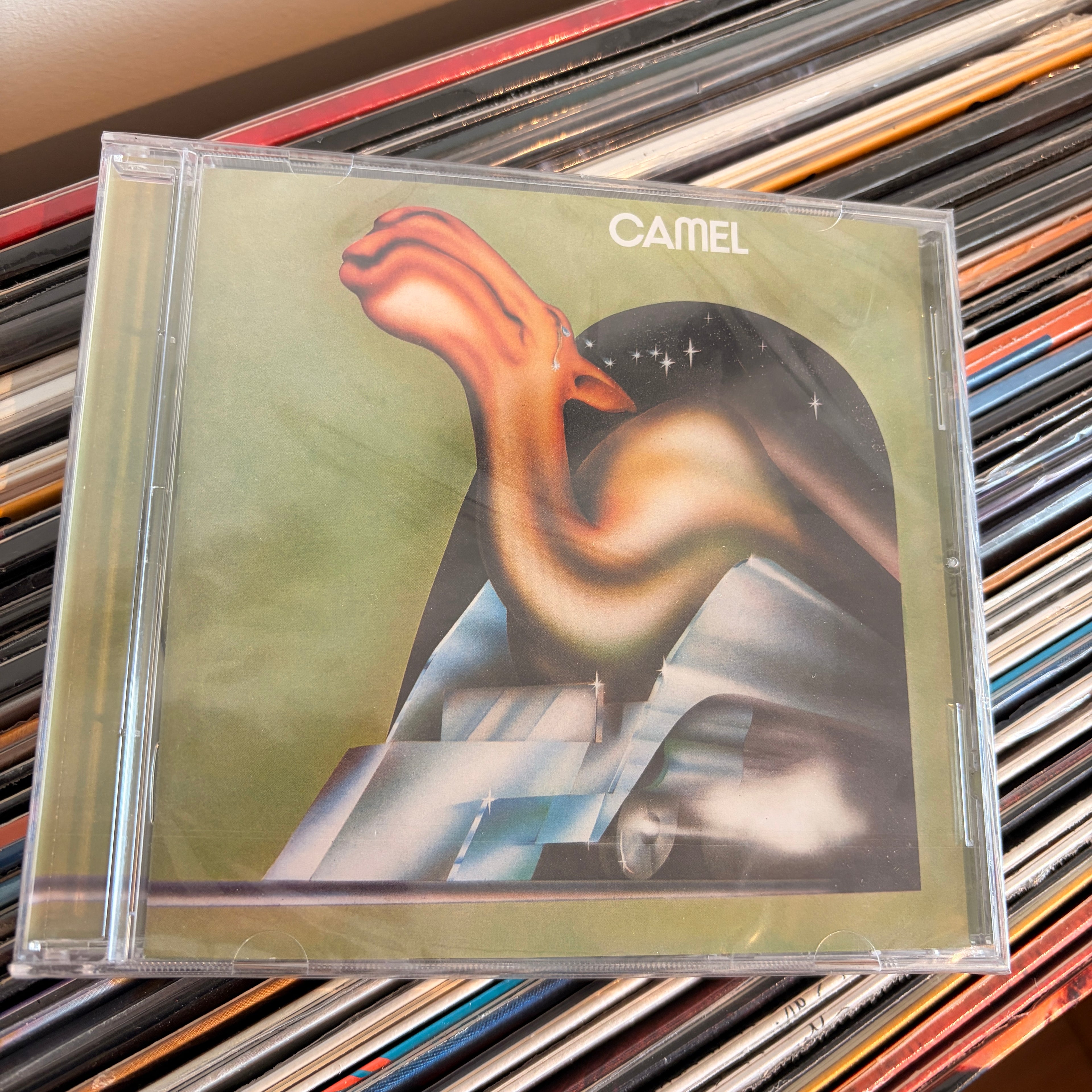 CAMEL
