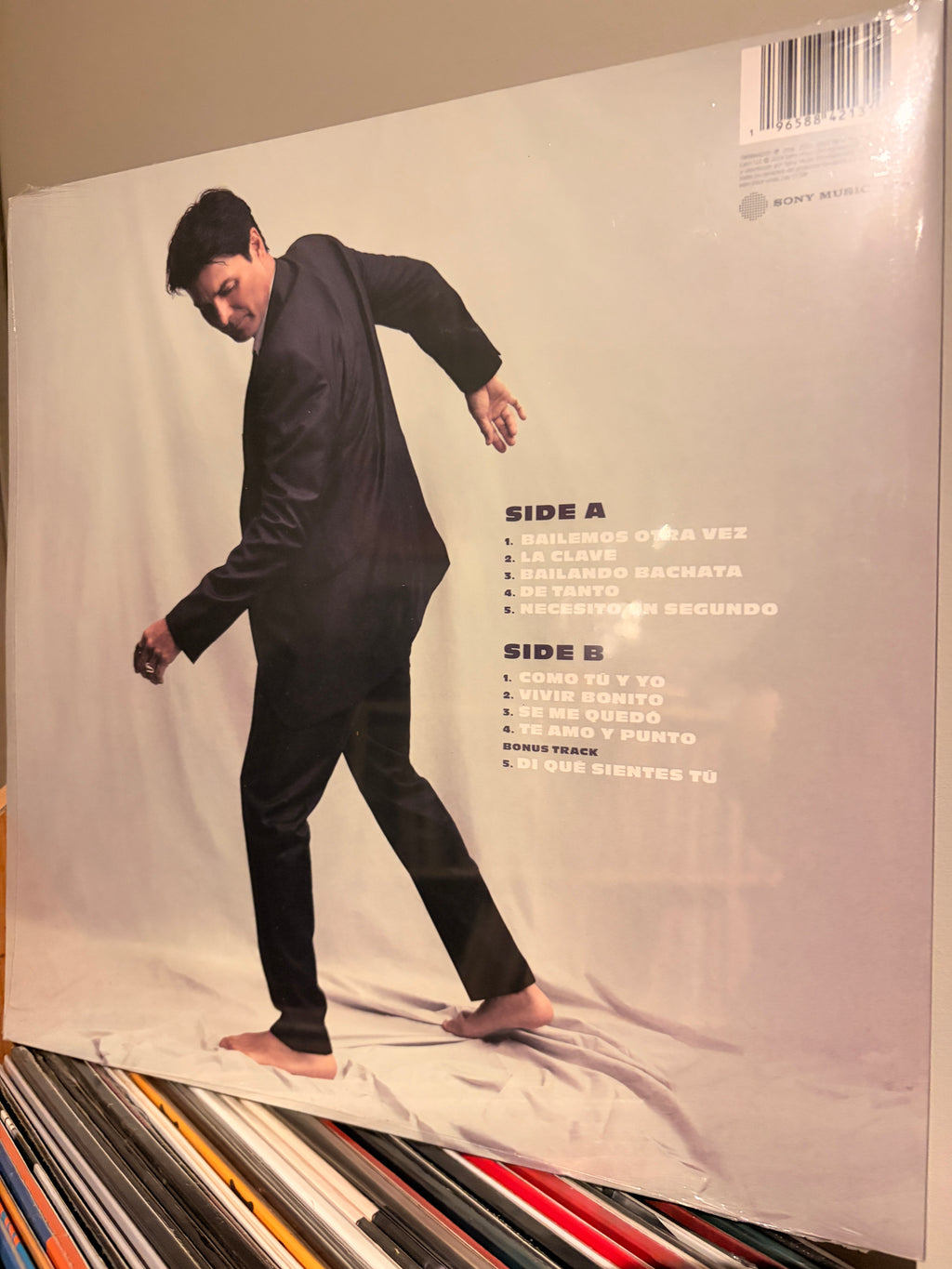 CHAYANNE Bailemos otra vez