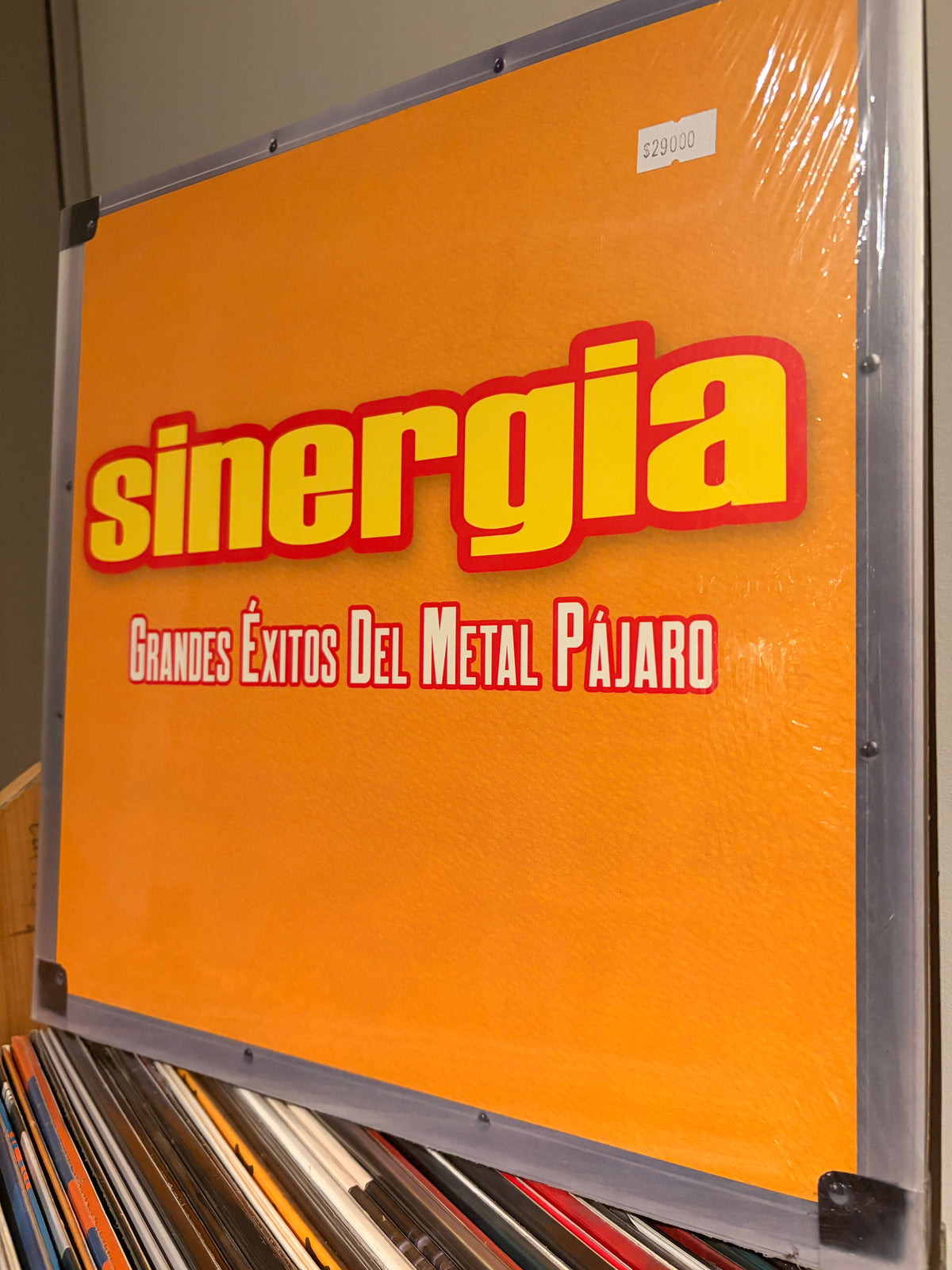 SINERGIA Grandes Exitos del Metal Pajaro