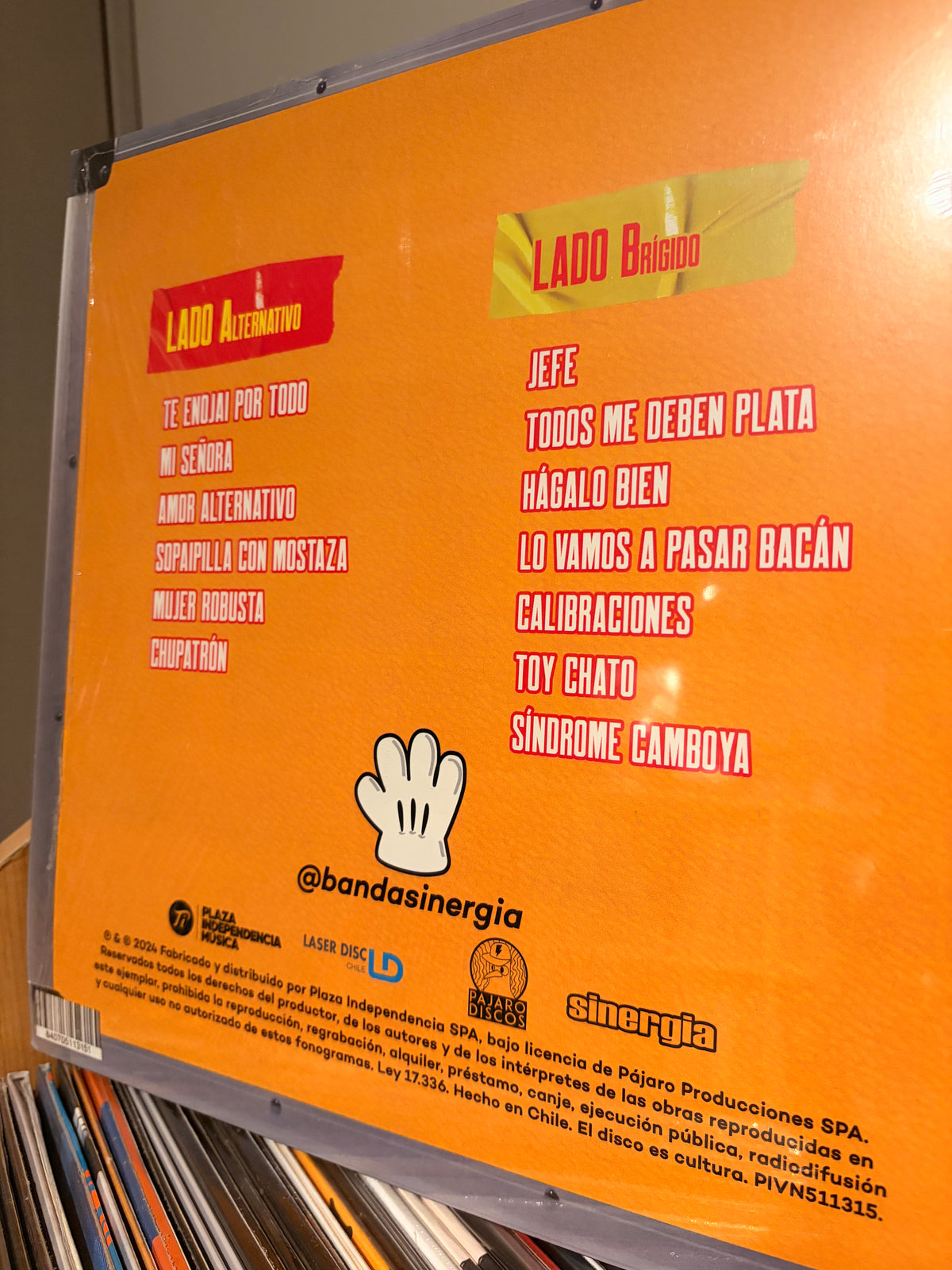 SINERGIA Grandes Exitos del Metal Pajaro