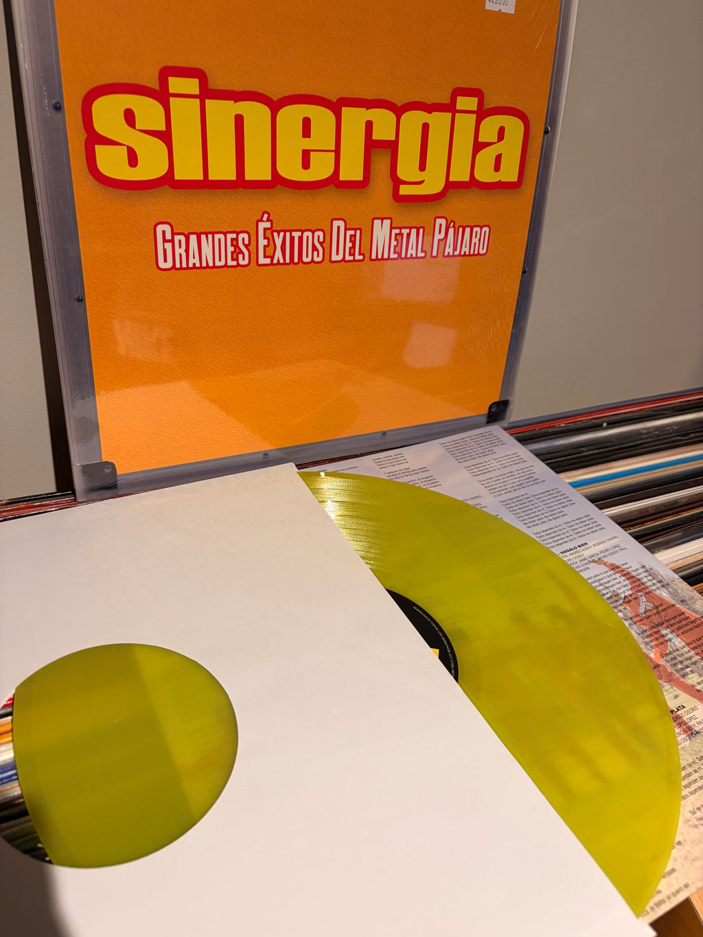 SINERGIA Grandes Exitos del Metal Pajaro