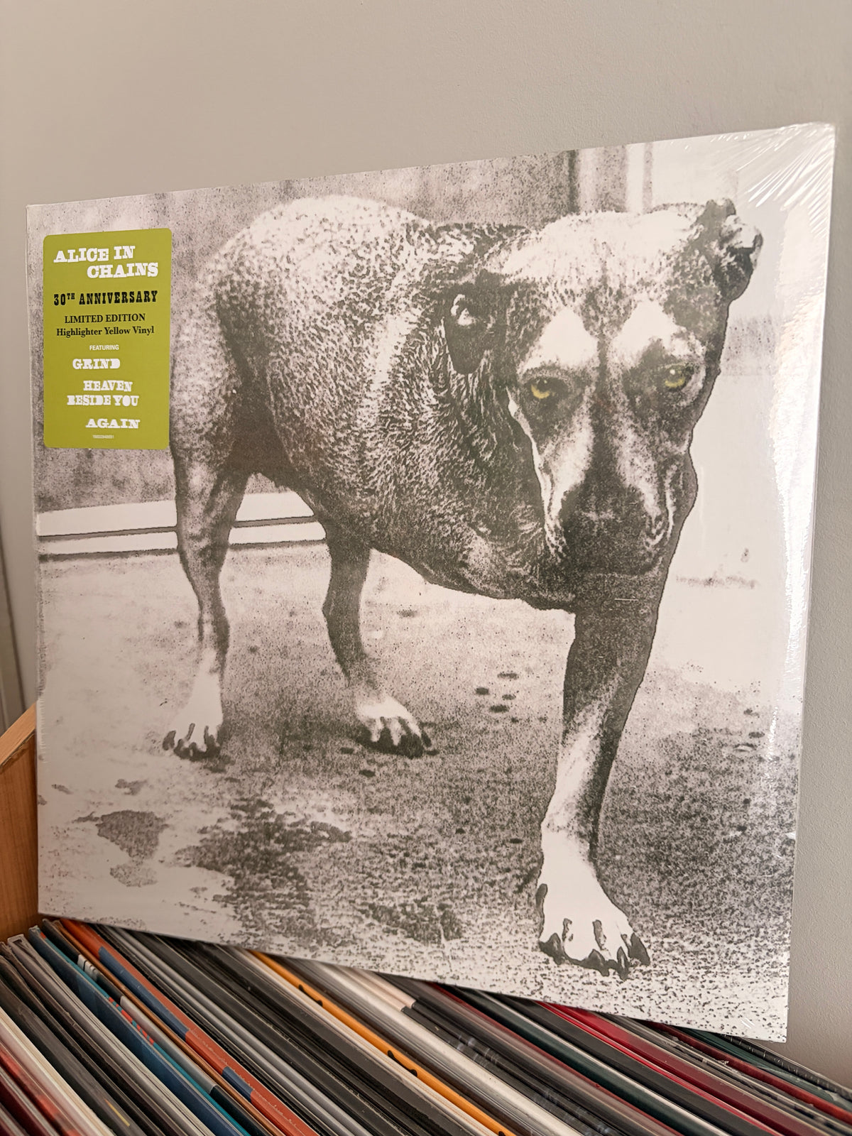 ALICE IN CHAINS Alice in Chains