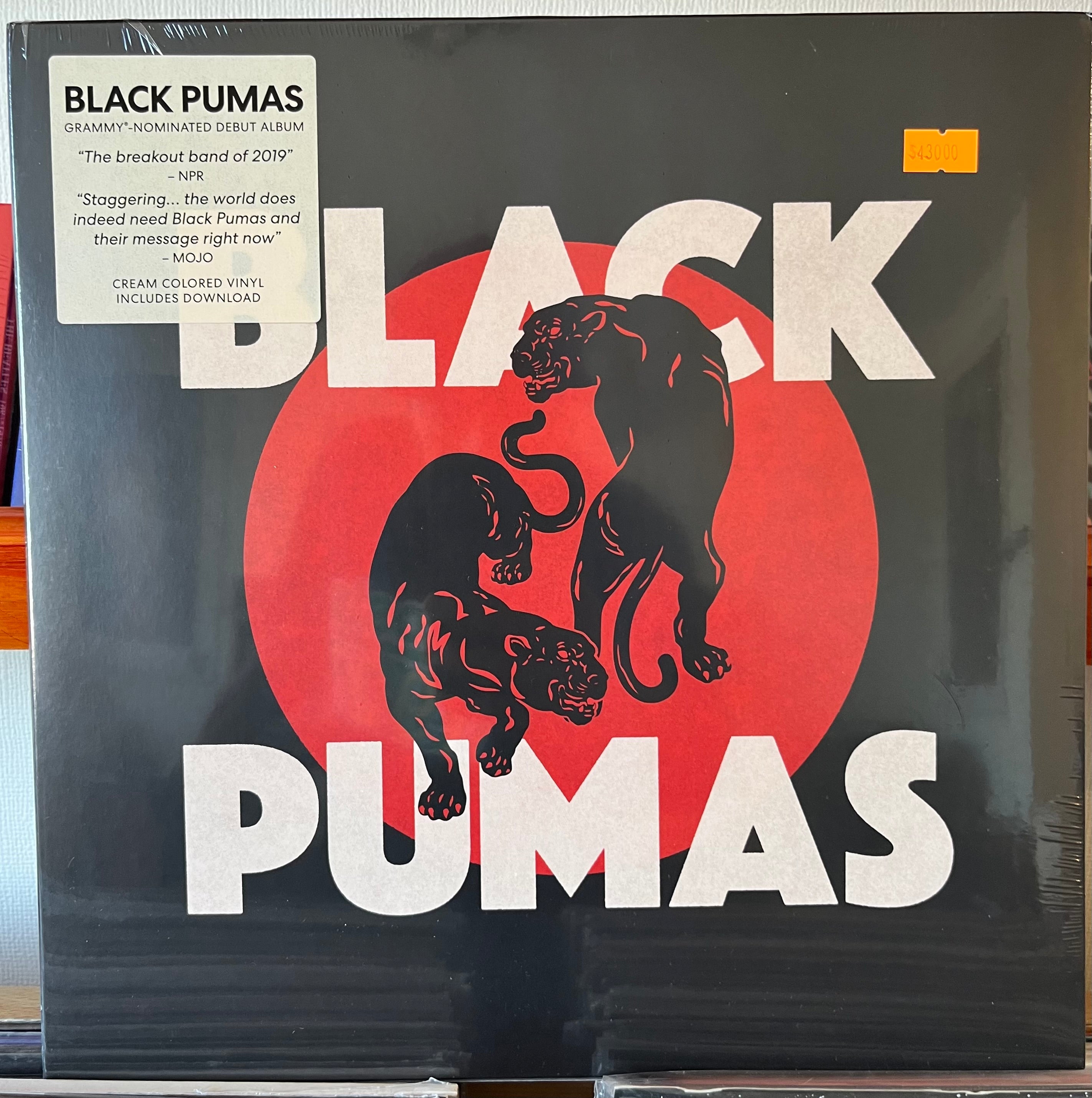 BLACK PUMAS DEBUT ALBUM