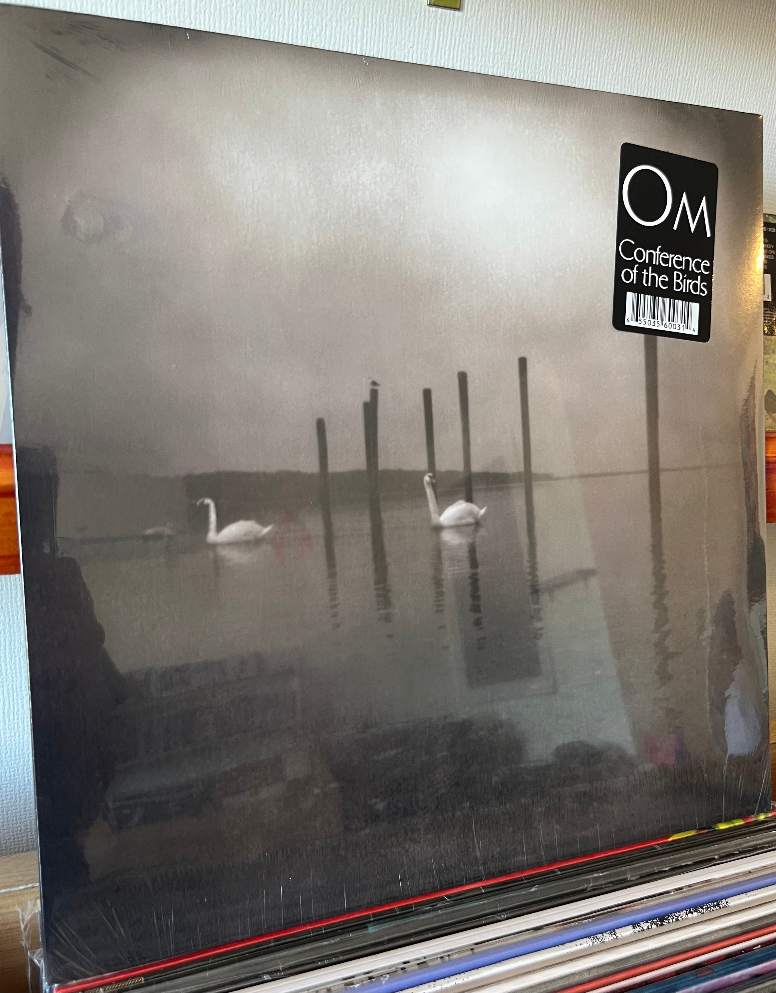 OM Conference of the Birds