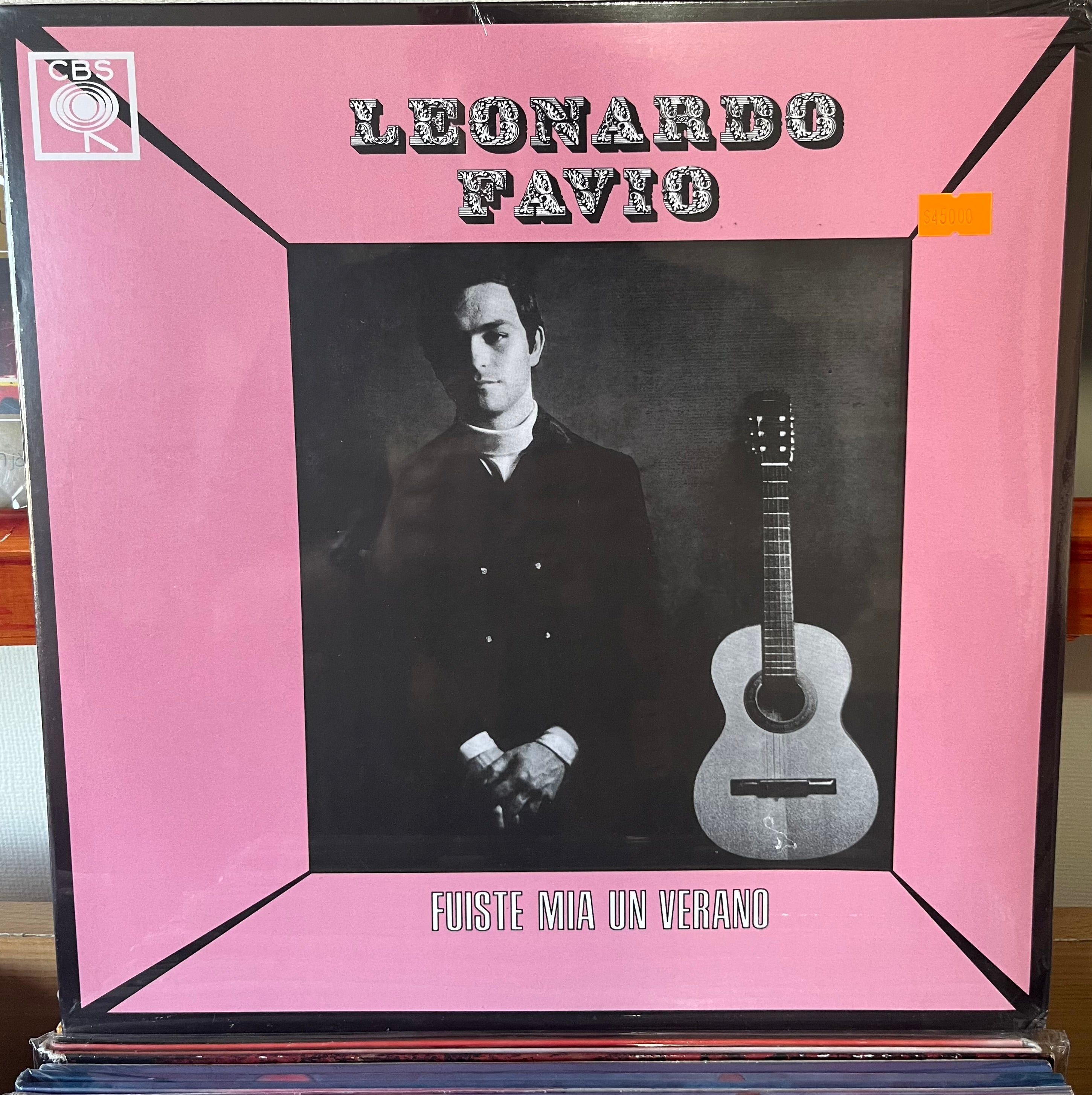 LEONARDO FAVIO Fuiste mia un verano